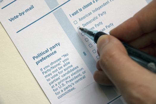 a voter marking the ballot